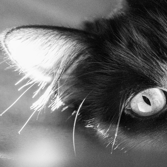 Hello! - Picture 9 of 9